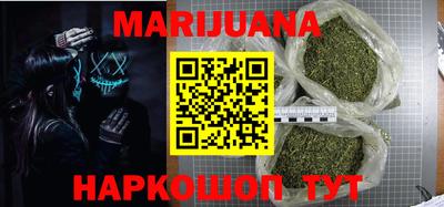 индика Обь