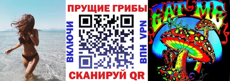 Псилоцибиновые грибы Psilocybe  Светлоград 