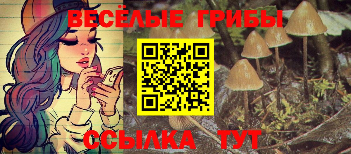 Галлюциногенные грибы прущие грибы  Галлюциногенные грибы MAGIC MUSHROOMS  Вход с VPN  Светлоград 